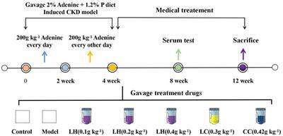 The Pharmacological Effect and Mechanism of Lanthanum Hydroxide on Vascular Calcification Caused by Chronic Renal Failure Hyperphosphatemia